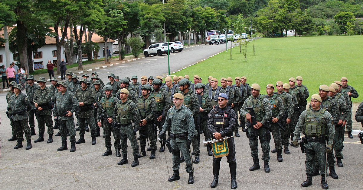 PMA Ambiental divulga números de resgate de animais e combate à pesca ilegal