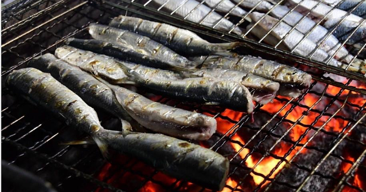 Festival da Sardinha em Ilhabela é adiado por previsão de mau tempo