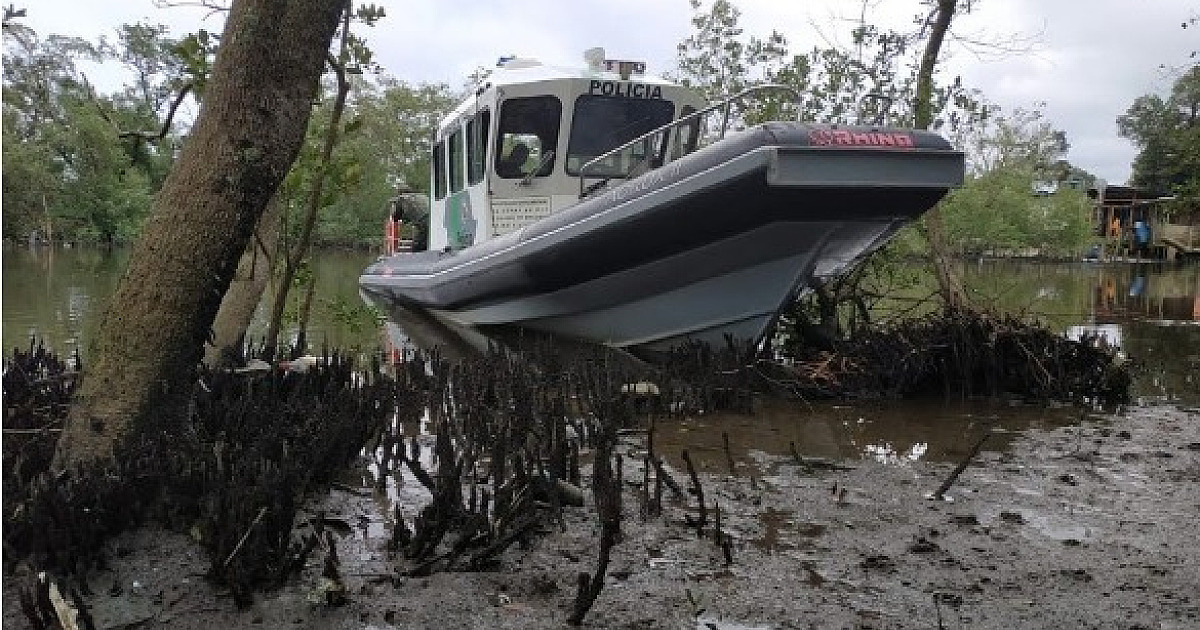 Polícia Ambiental constata queda no número de crimes em manguezais
