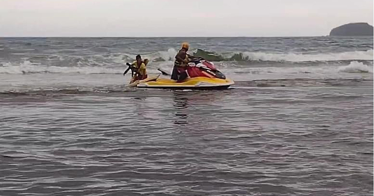 GBMar salva bicho-preguiça que caiu no mar em Ubatuba