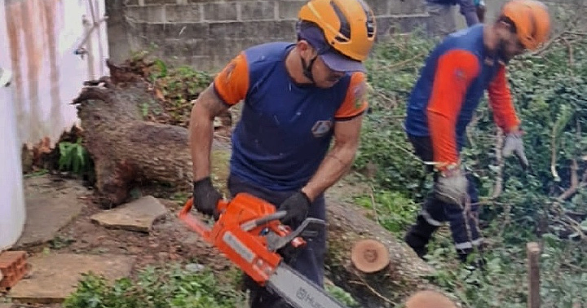 Prefeitura de Ilhabela atua em força-tarefa após ventania que atingiu a cidade