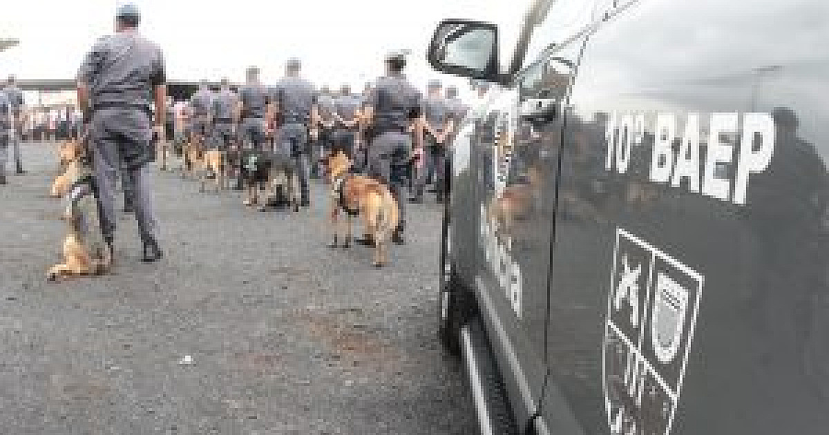 Em 4 meses PM detém 42 mil pessoas e apreende 45 toneladas de droga no Estado