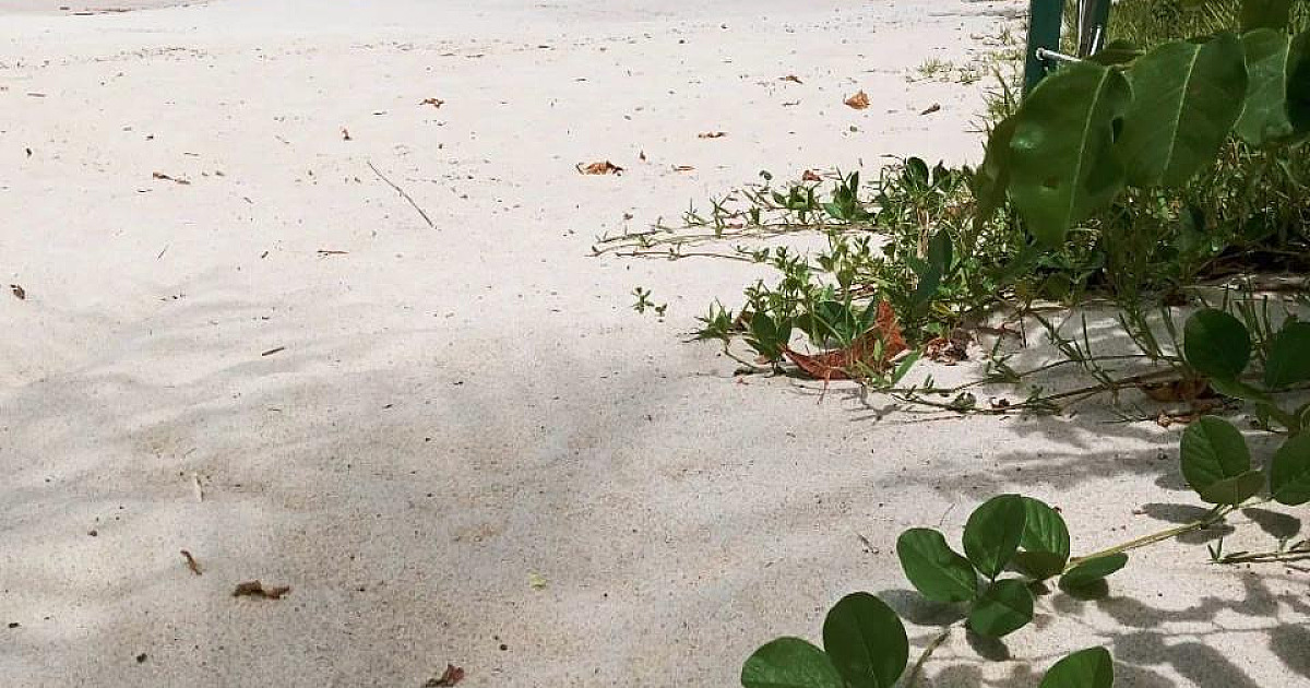 Apenas duas praias estão impróprias para o banho de mar neste fim de semana
