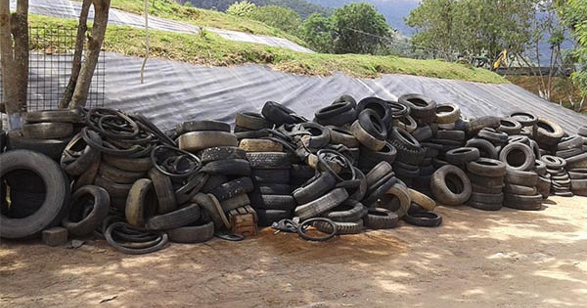 Projeto “Sete Linhas: música e ancestralidade nos terreiros de Ilhabela” agita a Fazenda do Engenho com vivências culturais