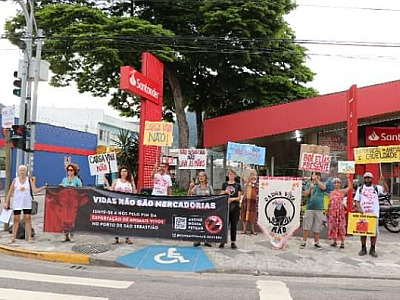 São Sebastião terá protesto neste domingo contra exportação de animais vivos