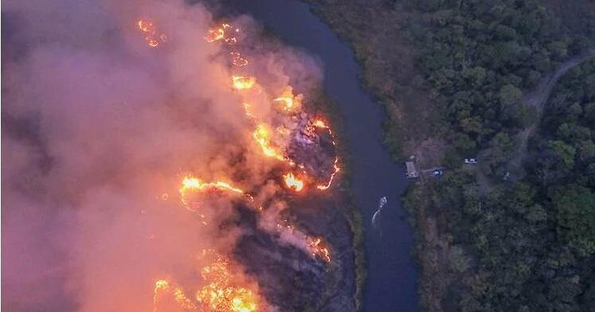 Junho registra recorde de queimadas no estado; Ilhabela registrou incêndios semana passada