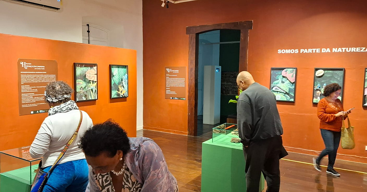 Exposição ‘Herança em Camadas’ é marcada por forte presença do público em São Sebastião