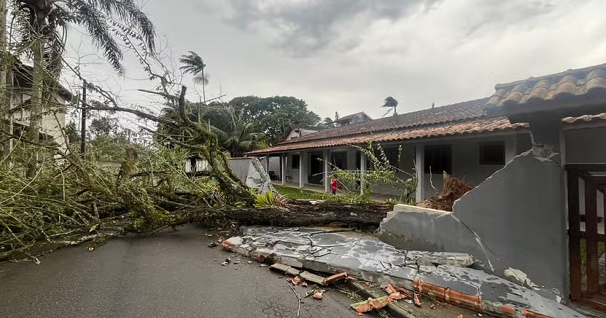 Queda de árvore destrói muro de casa e interdita rua em Caraguatatuba