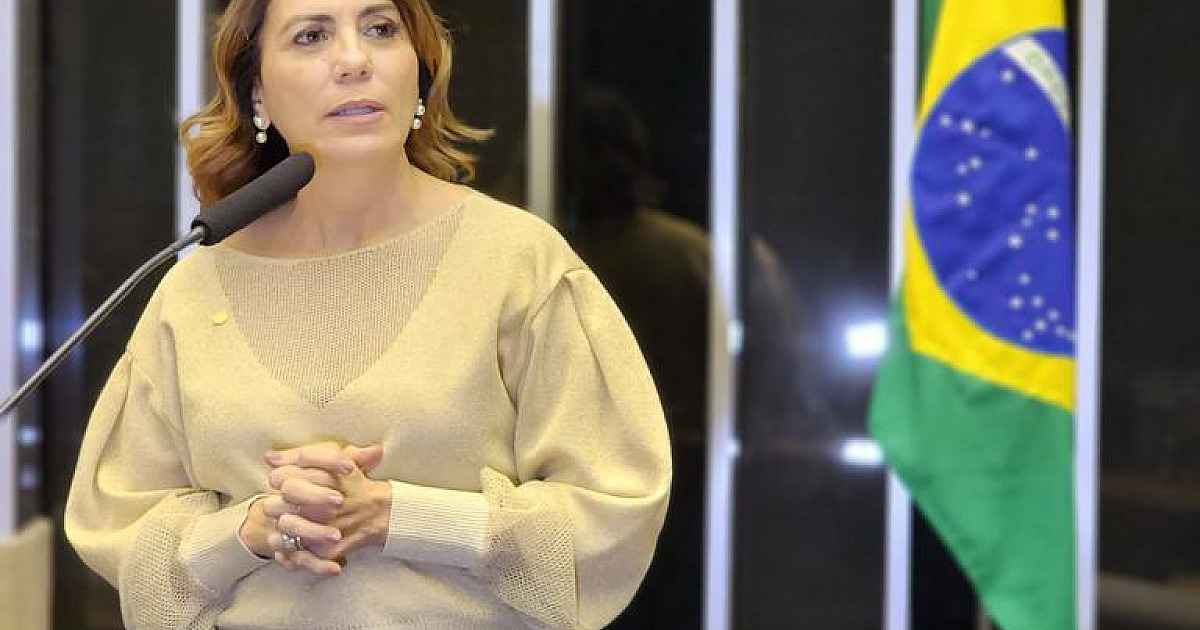 “Ministro e deputado desfilando em escola de samba que exalta vandalismo e afronta a Polícia não é Carnaval”, diz Rosana Valle
