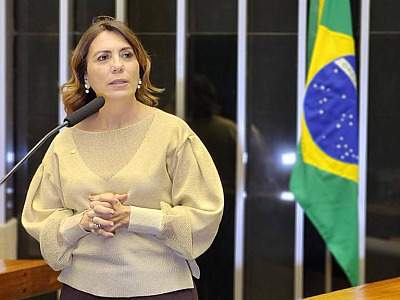 “Ministro e deputado desfilando em escola de samba que exalta vandalismo e afronta a Polícia não é Carnaval”, diz Rosana Valle