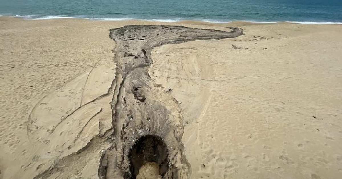 Prefeitura autua condomínio Alcatrazes por infração ambiental na Praia de Boiçucanga