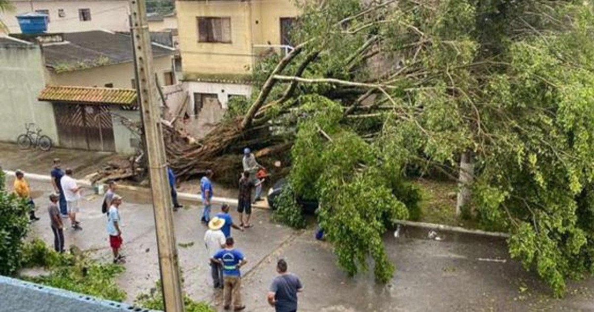 Defesa Civil de São Sebastião atende ocorrências devido à chuva