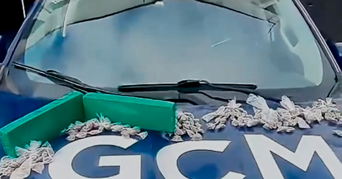 GCM apreende quase 2 kg de maconha no Olaria, em Caraguatatuba