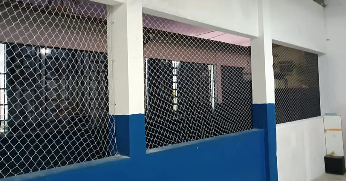 Escola em Caraguatatuba fecha refeitório em que pombos foram flagrados na merenda dos alunos