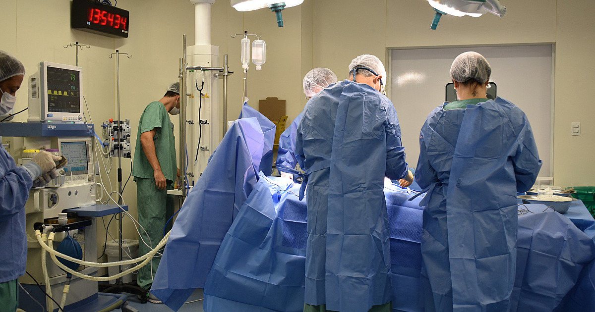 Hospital Regional do Litoral Norte realiza cinco captações de órgãos e beneficia 10 pacientes em janeiro