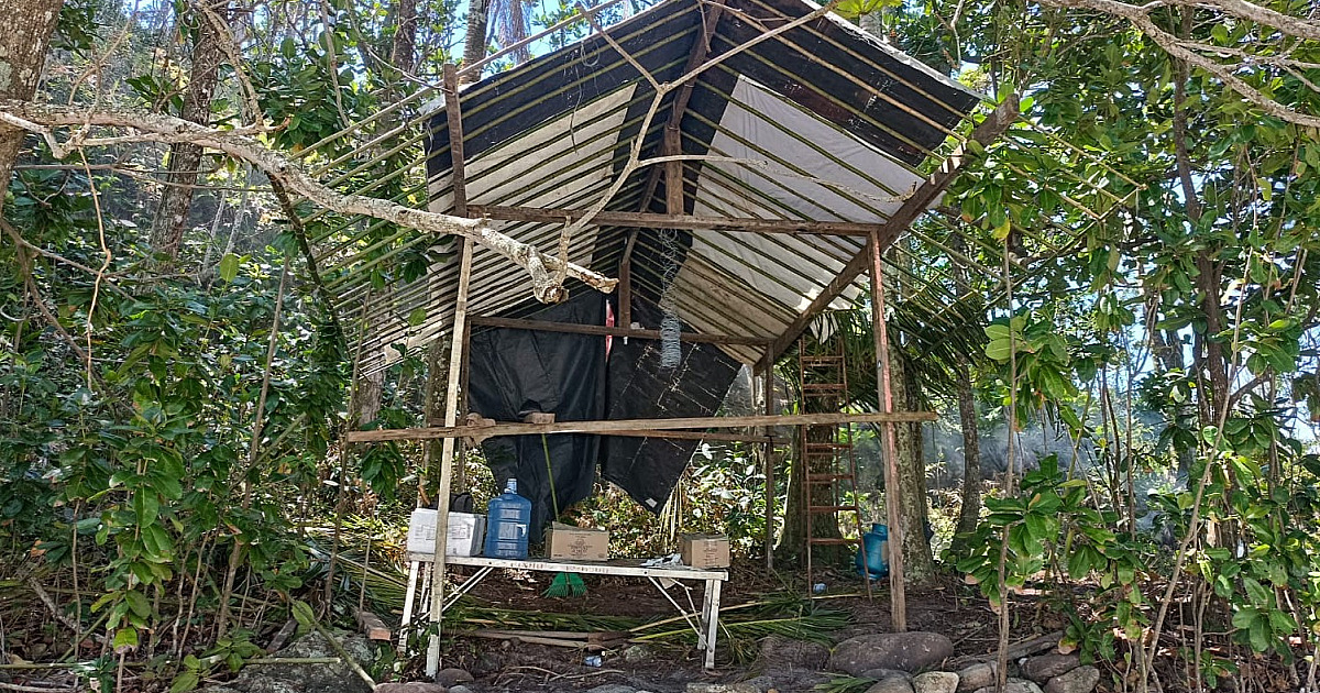 Prefeitura de São Sebastião derruba construção  irregular em área de proteção ambiental em ‘As Ilhas’