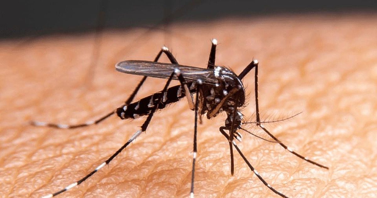 São Sebastião adota “regime sentinela” e amplia atendimento em USFs em bairros vulneráveis à dengue no município