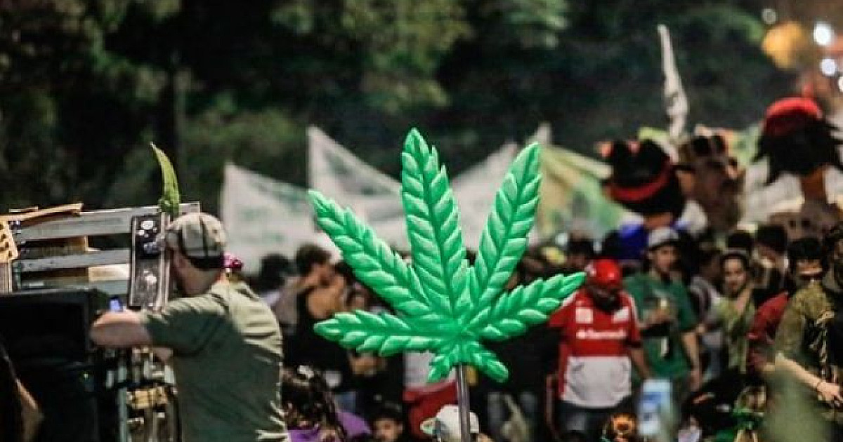 Justiça determina a liberação da Marcha da Maconha em Caraguatatuba