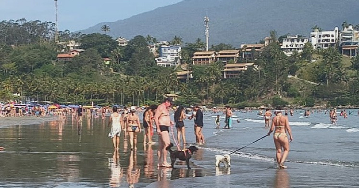 Prefeitura de São Sebastião alerta tutores de pets sobre proibição de animais domésticos na praia