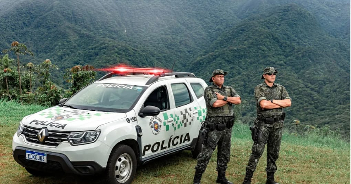 Operação Dia da Árvore fiscaliza origem e transporte de madeira no LN