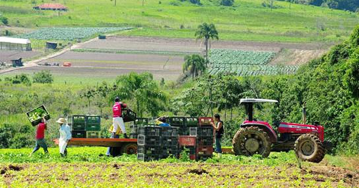 Agro tem superávit de R$ 10 bi, aumenta exportações e puxa alta do PIB de SP em 2023
