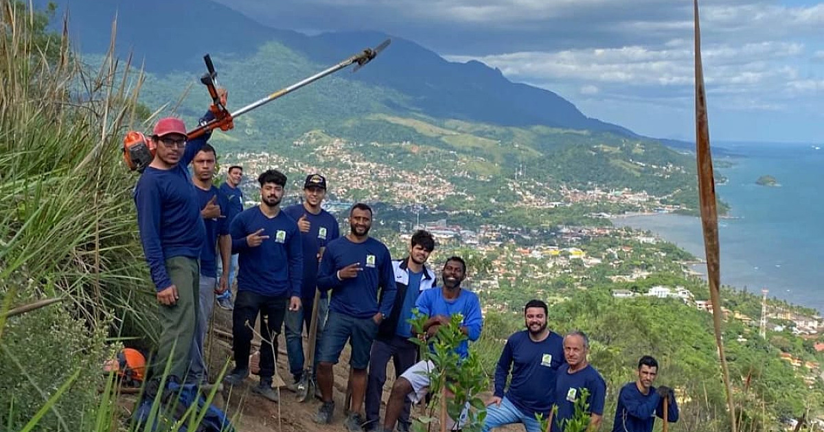 Ilhabela planta mais de 500 árvores nativas no Morro dos Mineiros