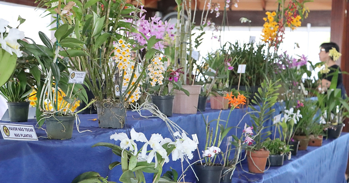 7º Caraguá Beer Festival e 44ª Exposição de Orquídeas são atrações do final de semana em Caraguatatuba