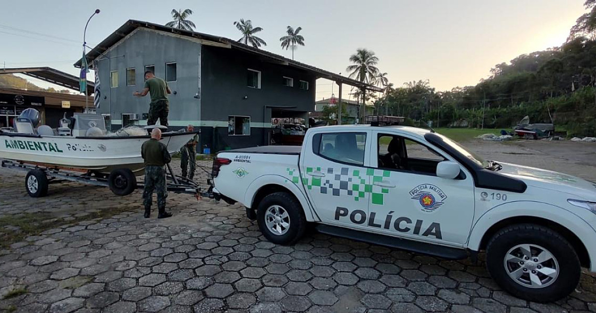 Polícia Ambiental salva 22 raias que estavam presas em rede de pesca na costa sul de São Paulo