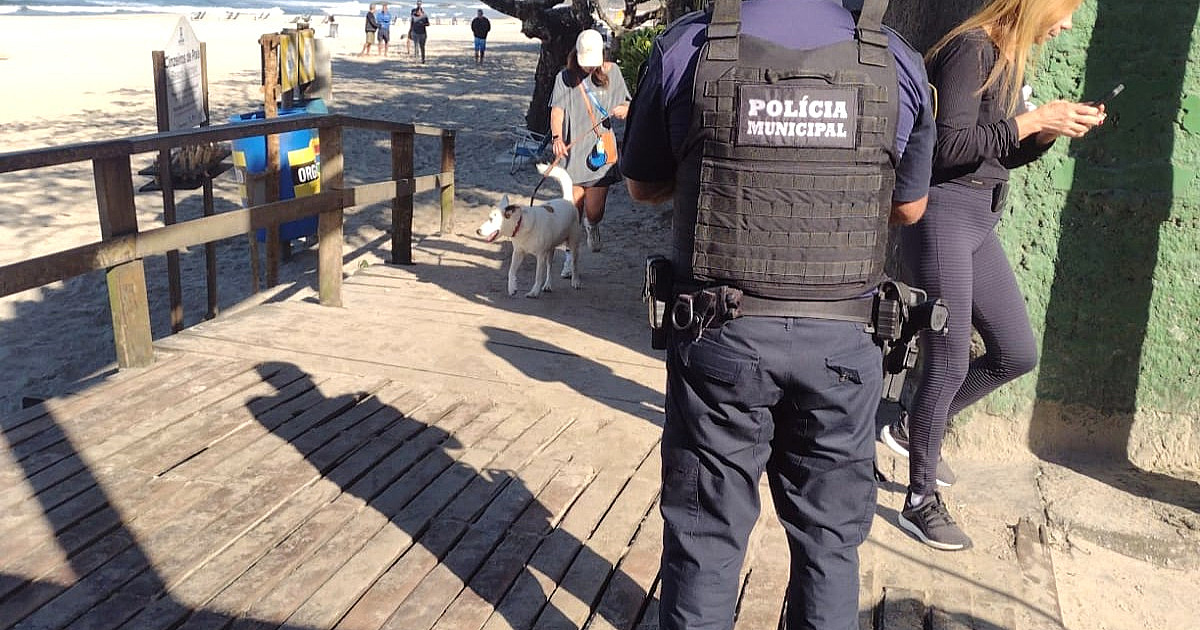Prefeitura de São Sebastião realiza fiscalização contra presença de animais na Praia de Cambury