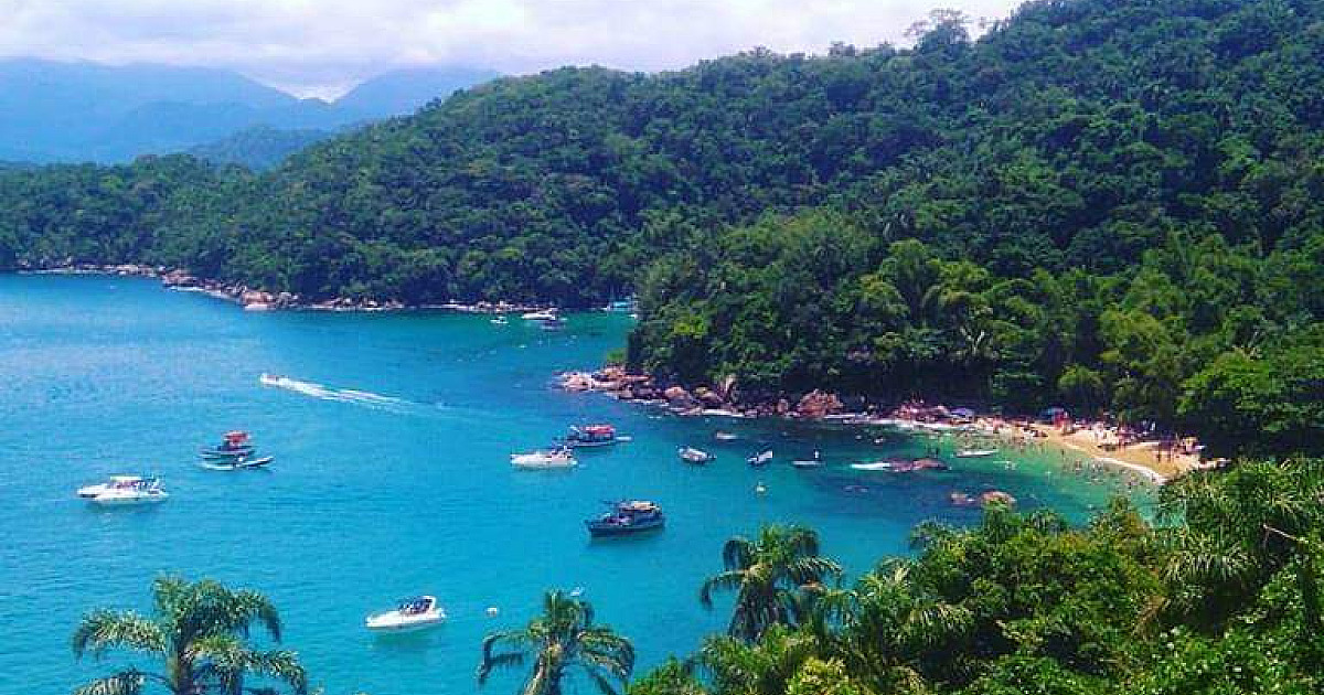 Unifesp anuncia descoberta do primeiro banco de rodolitos na região da Ilha das Couves em Ubatuba