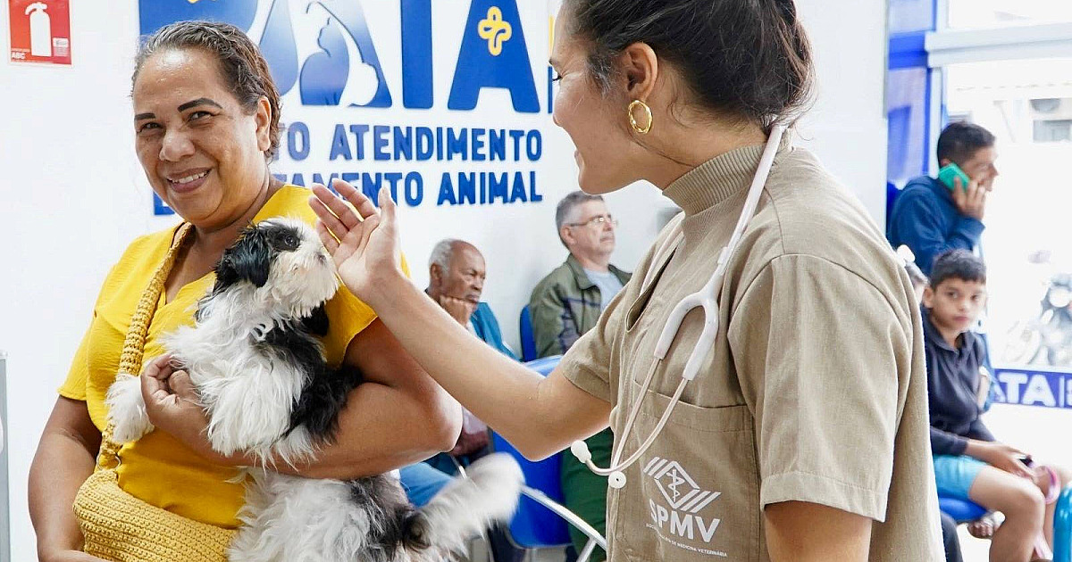 PATA completa 2 anos com crescimento e qualidade nos atendimentos dos animais em São Sebastião