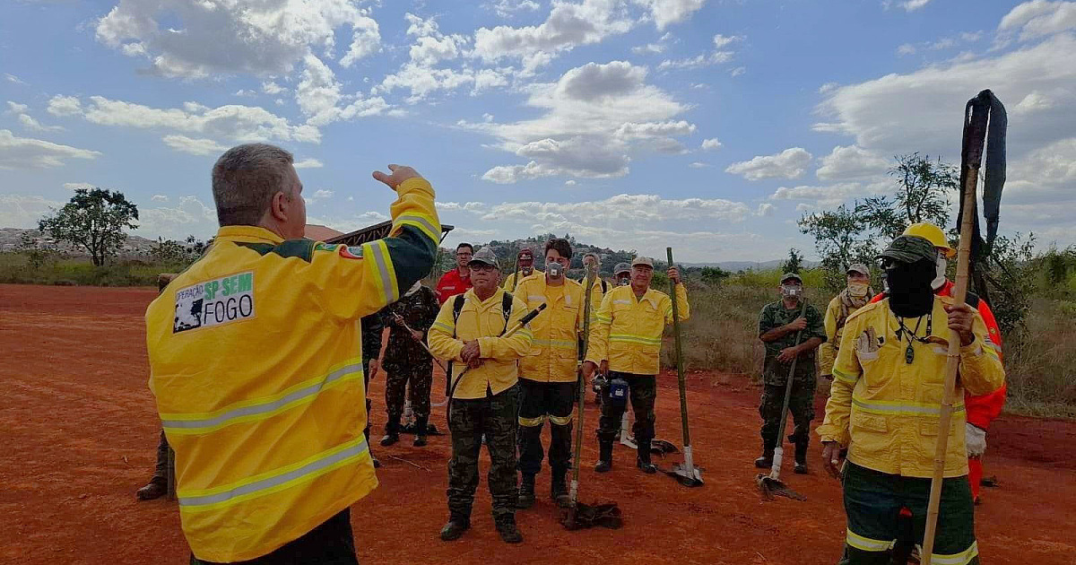 Governo de SP abre inscrições por meio da Fundação Florestal para 243 vagas de brigadistas com salários de até R$ 4 mil