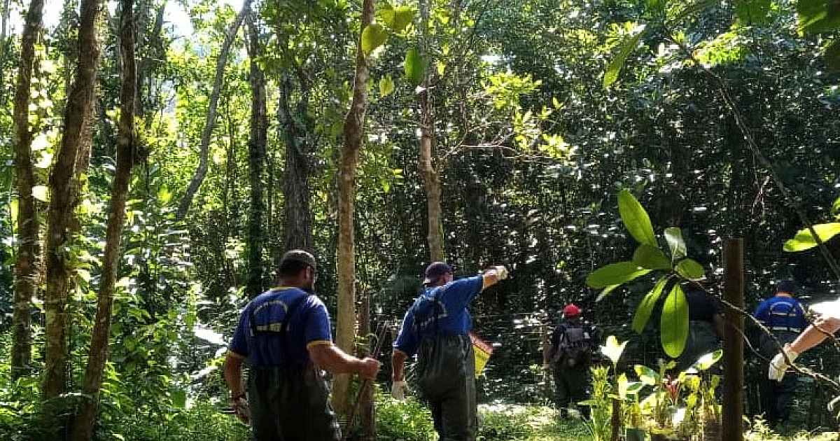 Prefeitura apreende materiais usados em cercamento irregular na APA Baleia Sahy, na Costa Sul