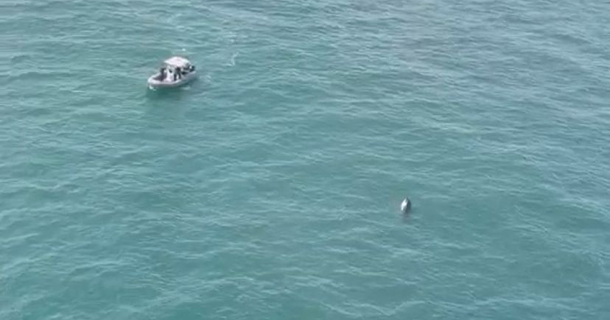 Buscas por vítimas desaparecidas em Ilhabela entram no terceiro dia