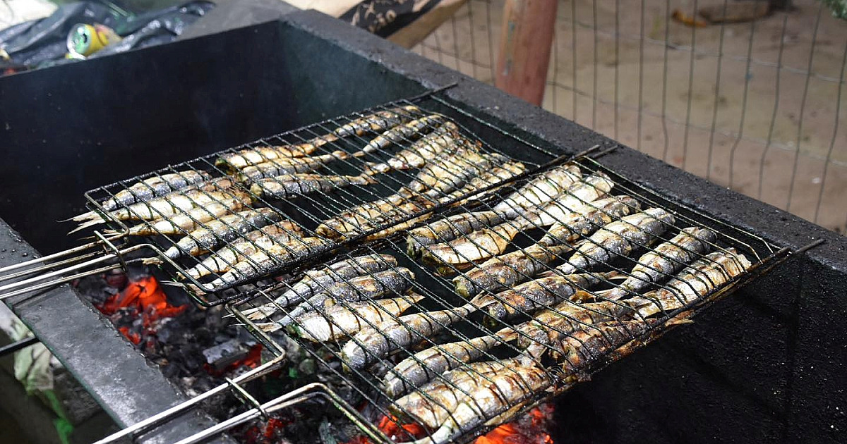 Pescadores de Ilhabela garantem sardinha fresca no tradicional festival gastronômico
