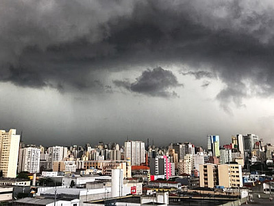 (Imagem: Reprodução / Jornal USP)