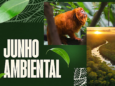 A série especial no portal do MPF lança olhar sobre os seis biomas brasileiros e o sistema costeiro.